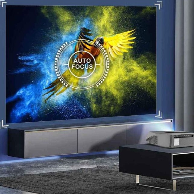 Professional Projector