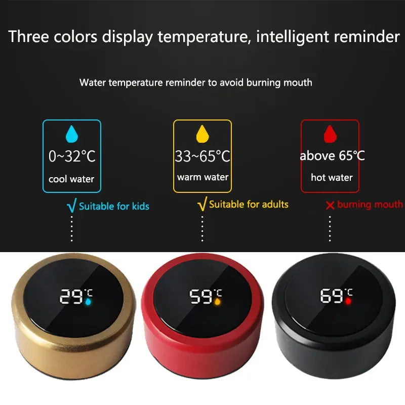 Digital Temperature Display Bottle